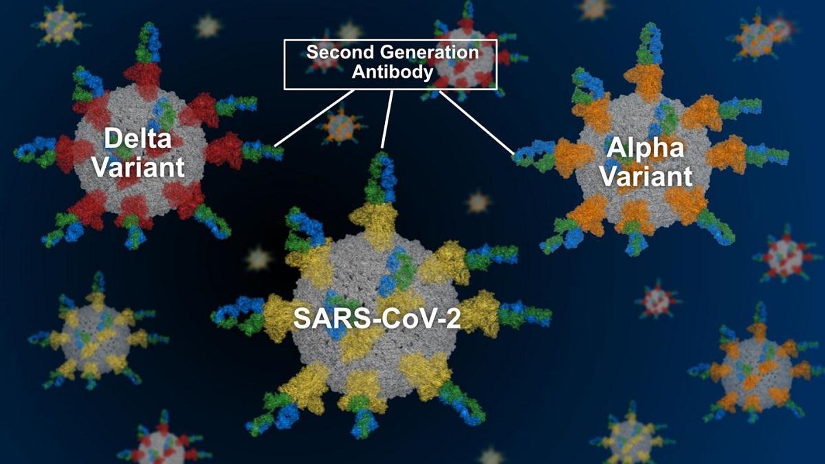 IRB ready for clinical testing of second generation antibody against COVID-19