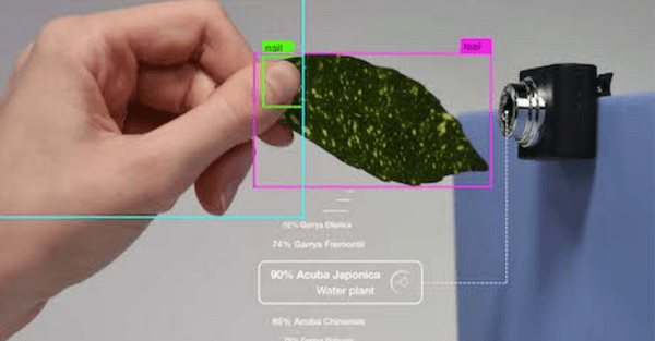 SUPSI presents new design institute