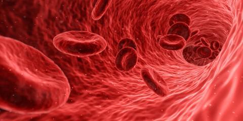 Octapharma legt positive Ergebnisse für Hämophilie-Mittel vor