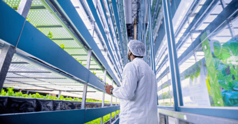 Switzerland leads with most sustainable start-ups per capita